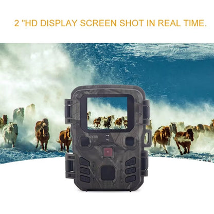 LynxView