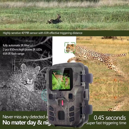 LynxView
