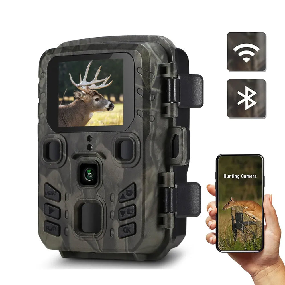 LynxView