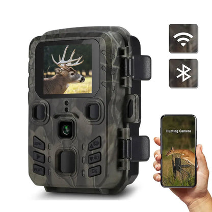 LynxView