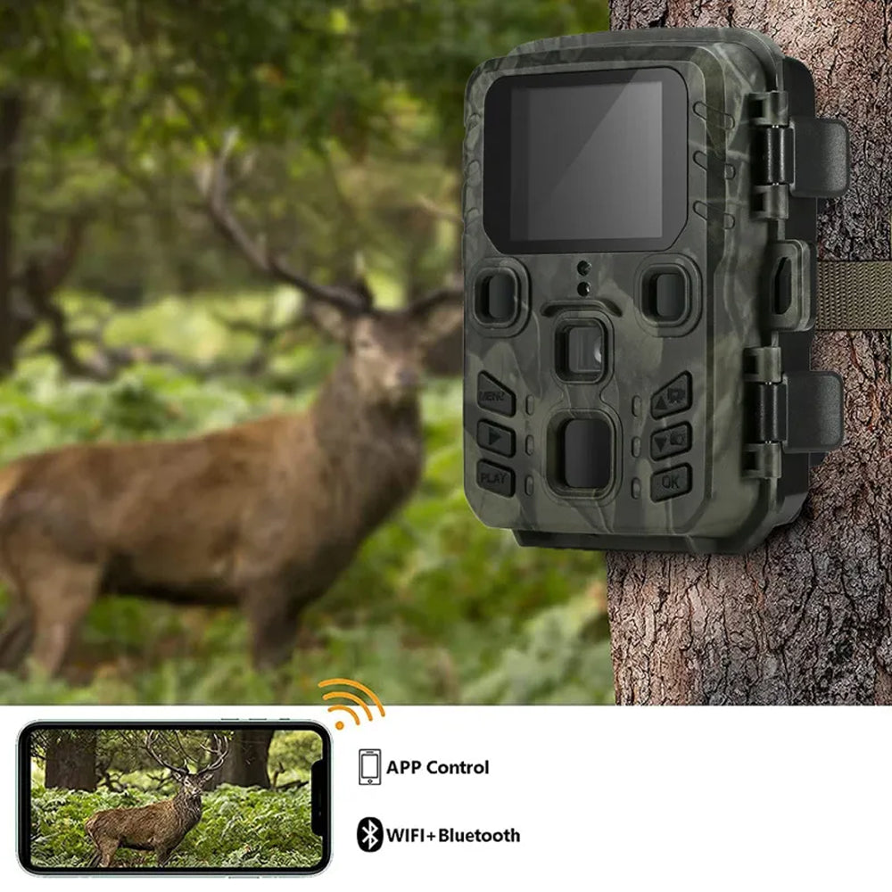 LynxView