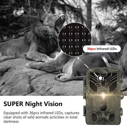 PantherEye