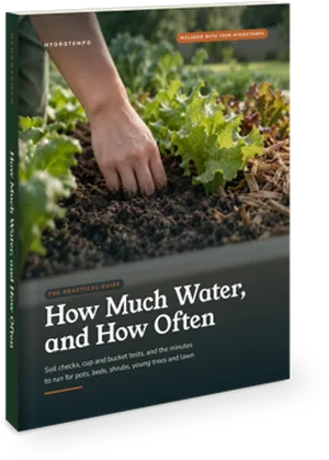How Much Water, and How Often